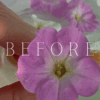 5 Clean Tones Mobile Video Filters - Image 2