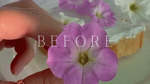 5 Clean Tones Mobile Video Filters - Image 2