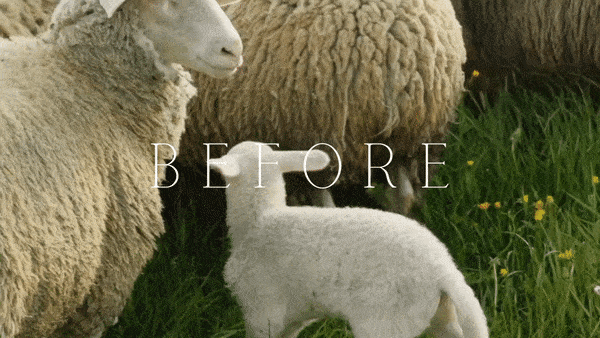 Cottagecore Lightroom Presets + Video Filters Bundle - Image 2