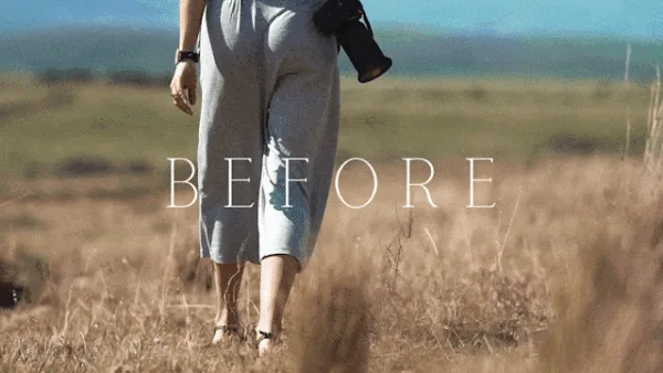 Safari Lightroom Presets + Video Filters Bundle - Image 2