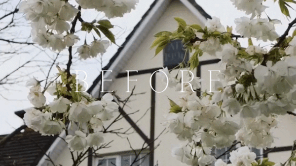 Timeless Lightroom Presets + Video Filters Bundle - Image 2
