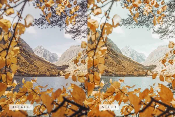 5 Fall in Love Mobile Video Filters - Image 7