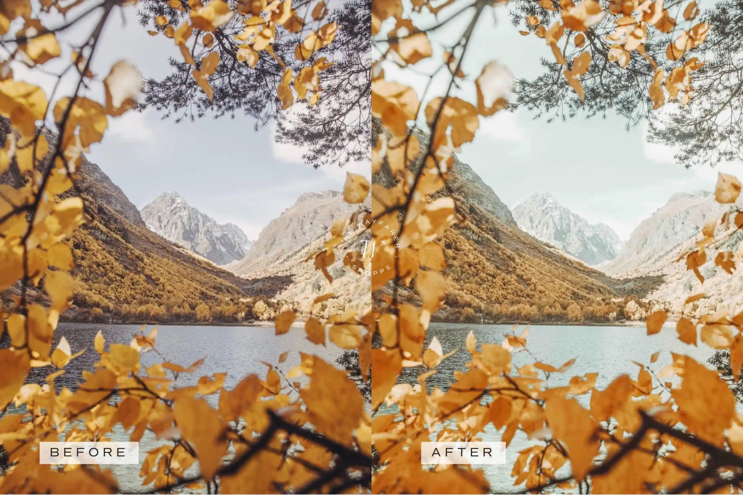 5 Fall in Love Mobile Video Filters 7 5 Fall in Love Mobile Video Filters - Image 7