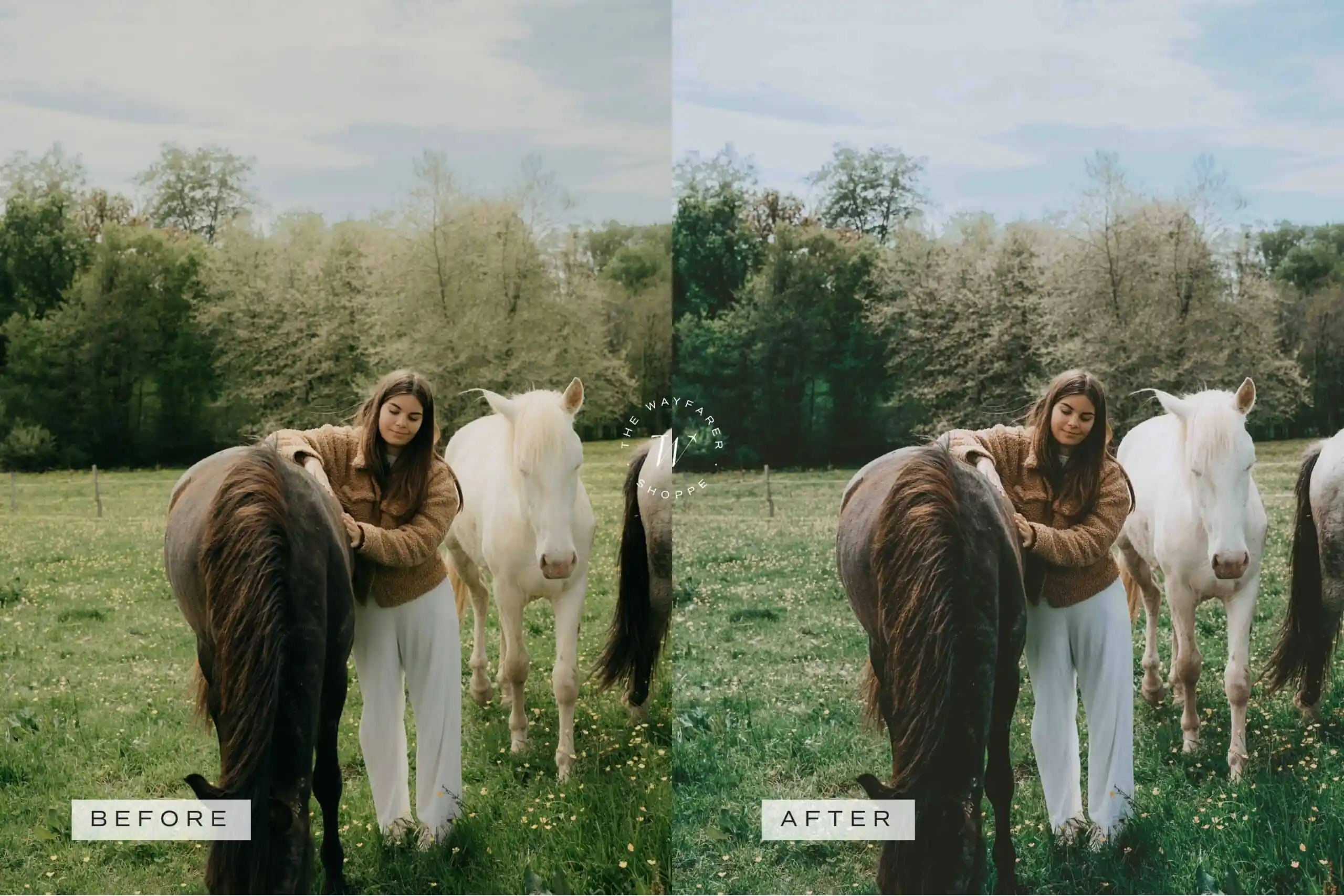 Forest Lightroom Presets + Video Filters Bundle - Image 7