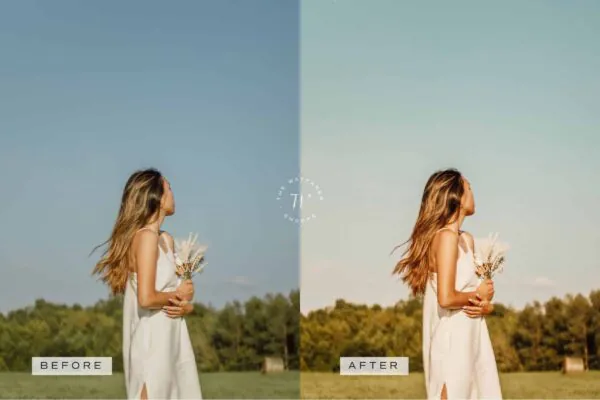 5 Honey Mobile Video Filters - Image 7