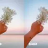 5 Sunsets Mobile Video Filters - Image 7
