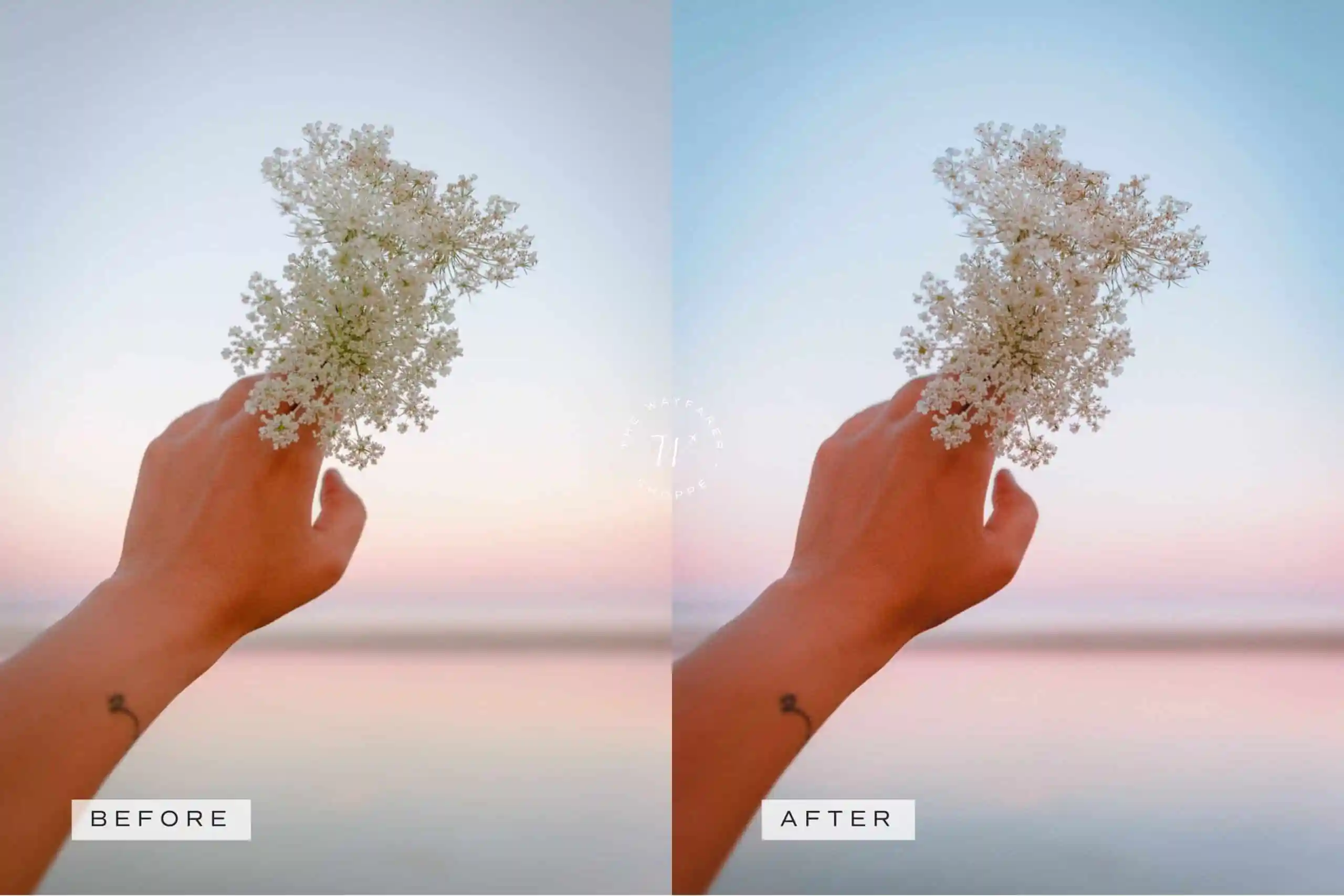 Sunsets Lightroom Presets + Video Filters Bundle - Image 7