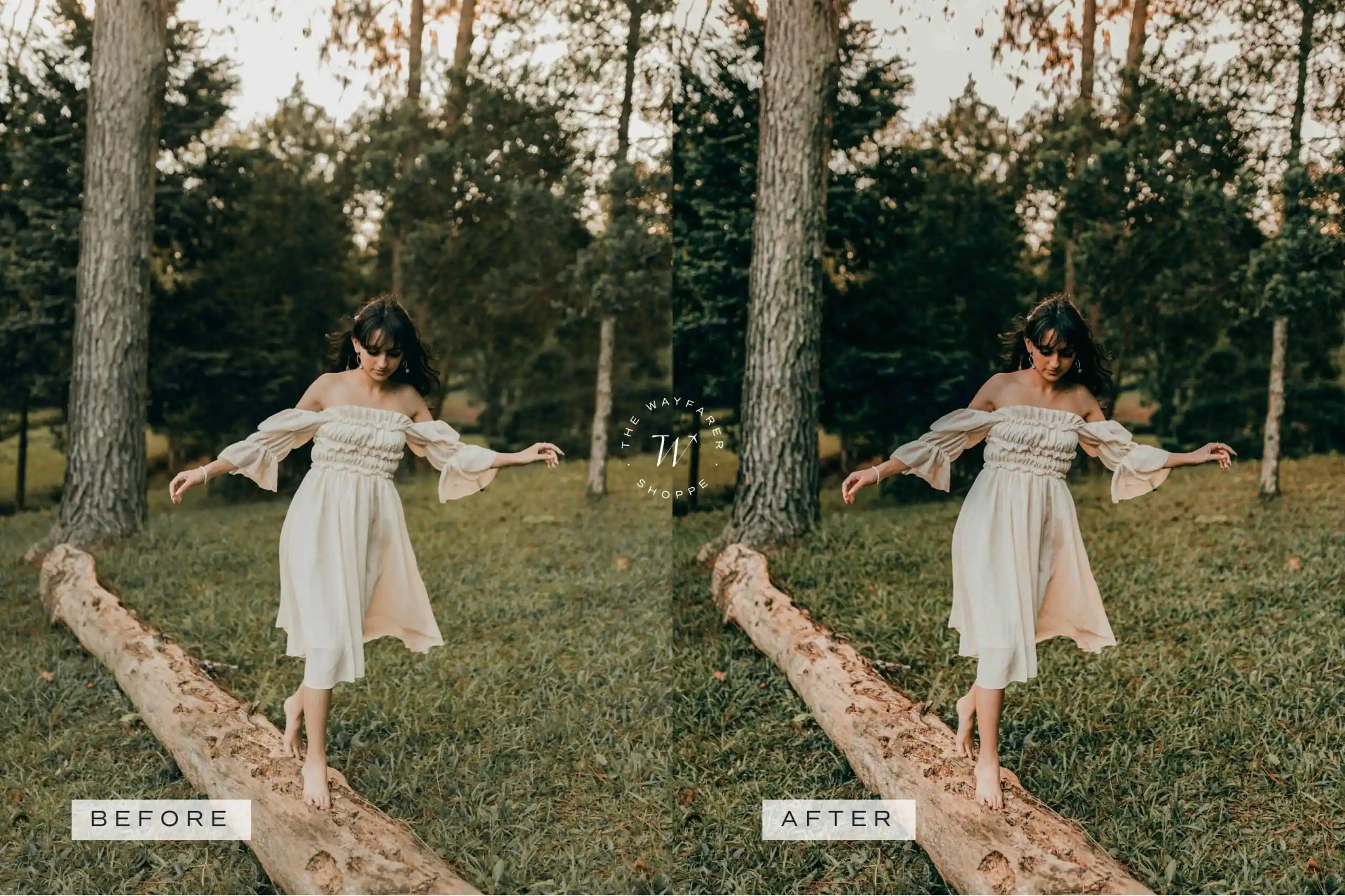 5 Woodlands Mobile Video Filters 7 5 Woodlands Mobile Video Filters - Image 7