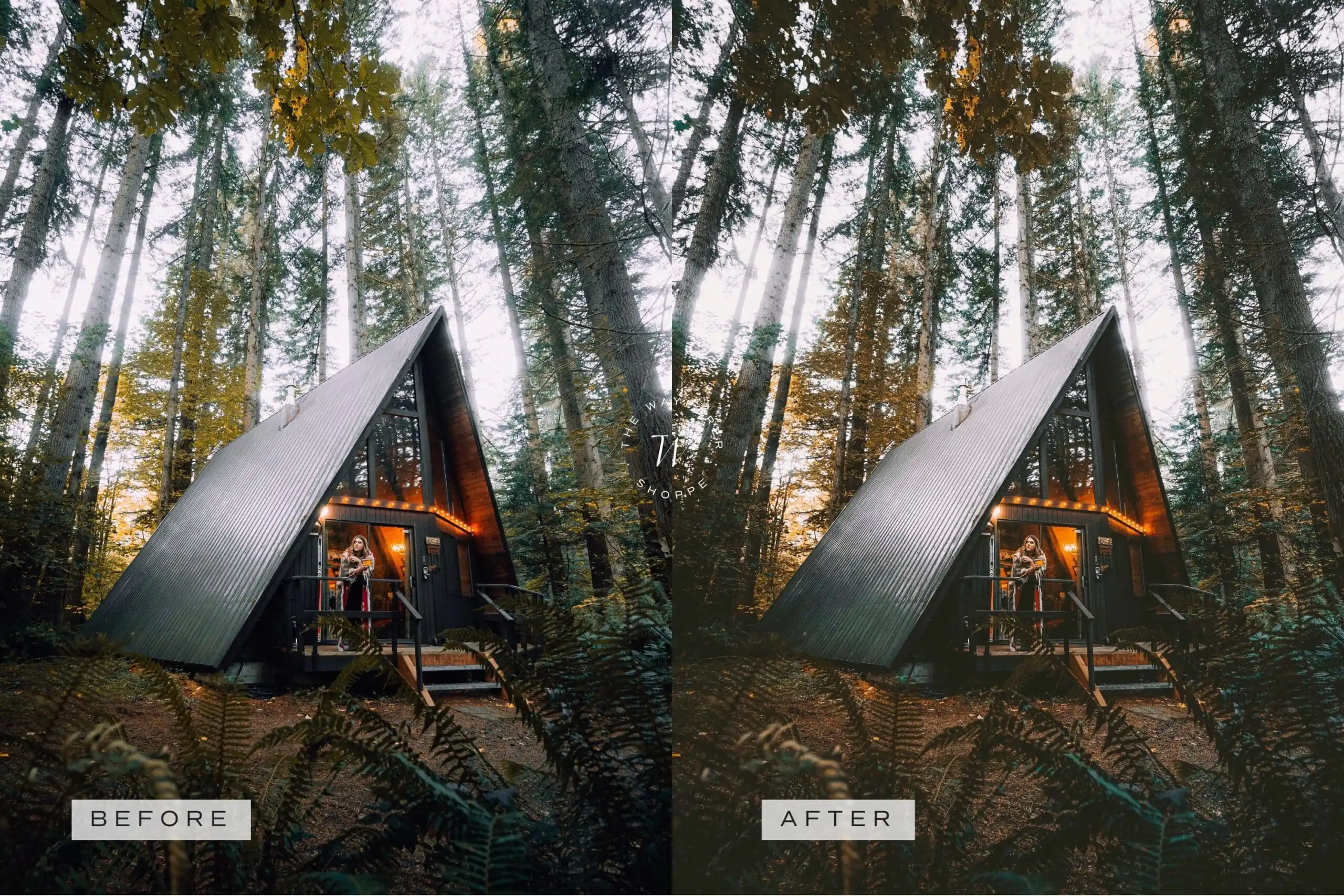 Forest Lightroom Presets + Video Filters Bundle - Image 8