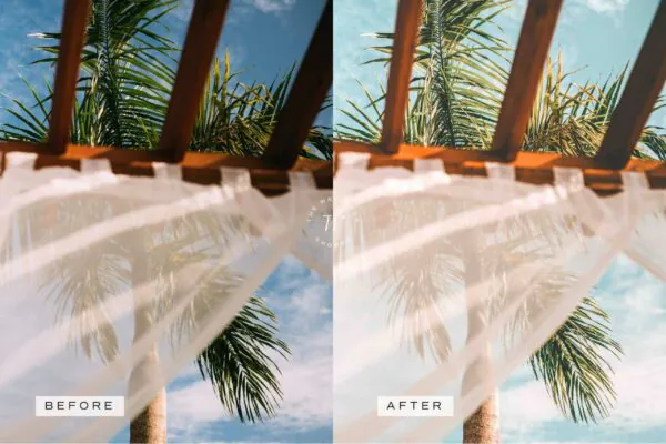 5 Palm Springs Mobile Video Filters - Image 8