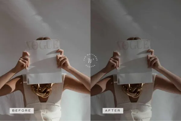 Muted Lightroom Presets + Video Filters Bundle - Image 8