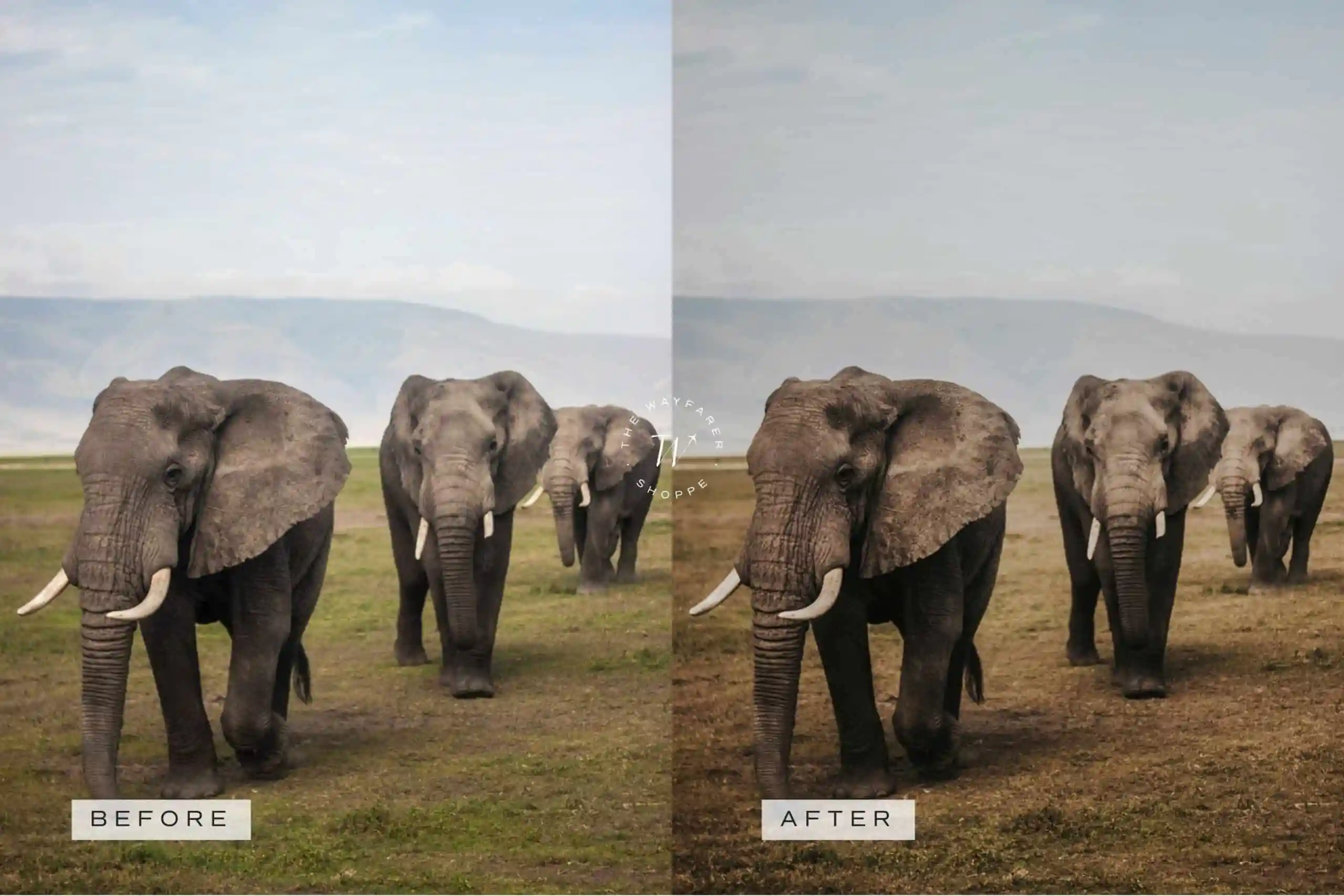 5 Safari Lightroom Presets | Mobile + Desktop 7 5 Safari Lightroom Presets | Mobile + Desktop - Image 7