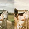 5 Honey Mobile Video Filters - Image 9