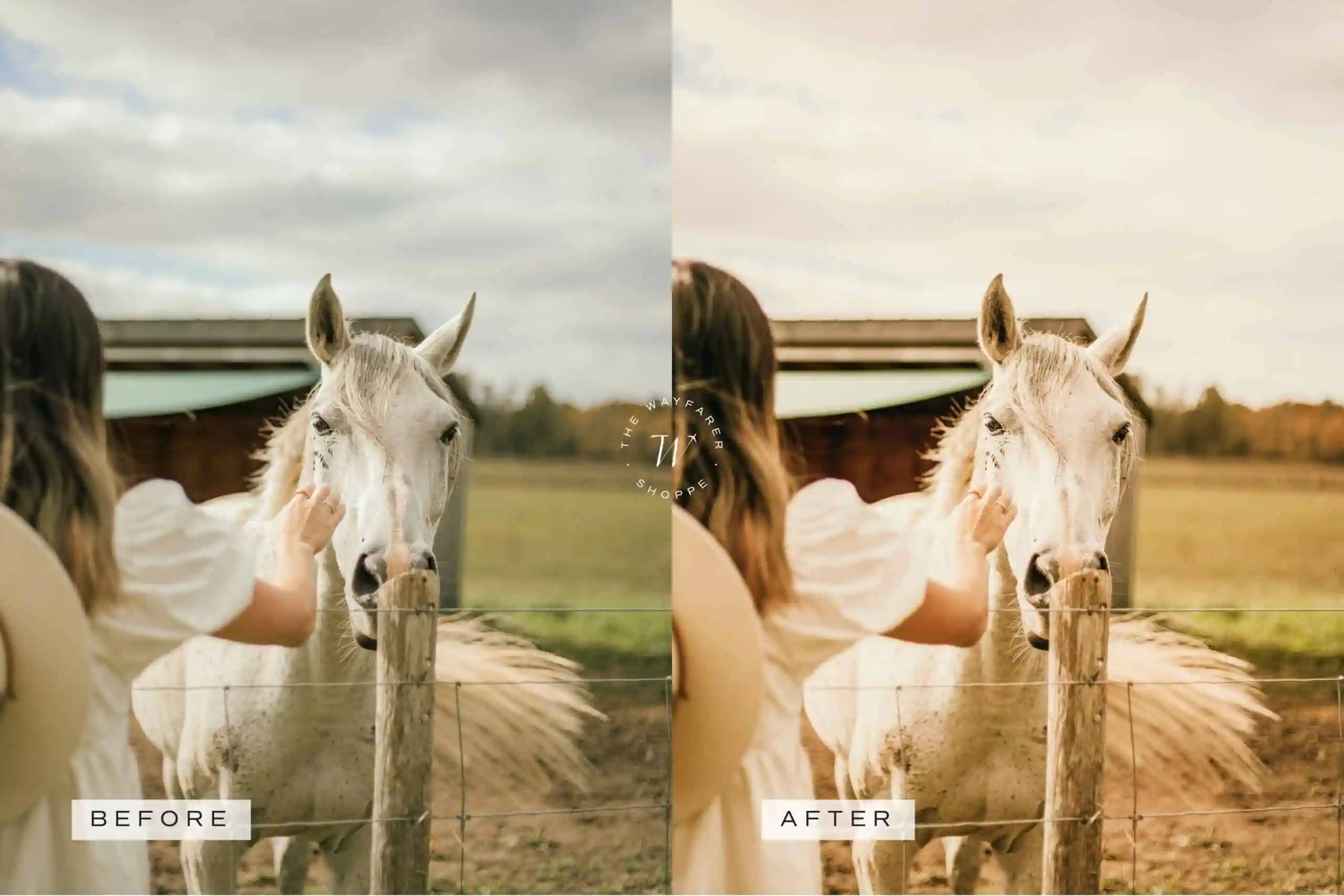 5 Honey Lightroom Presets | Mobile + Desktop 8 5 Honey Lightroom Presets | Mobile + Desktop - Image 8