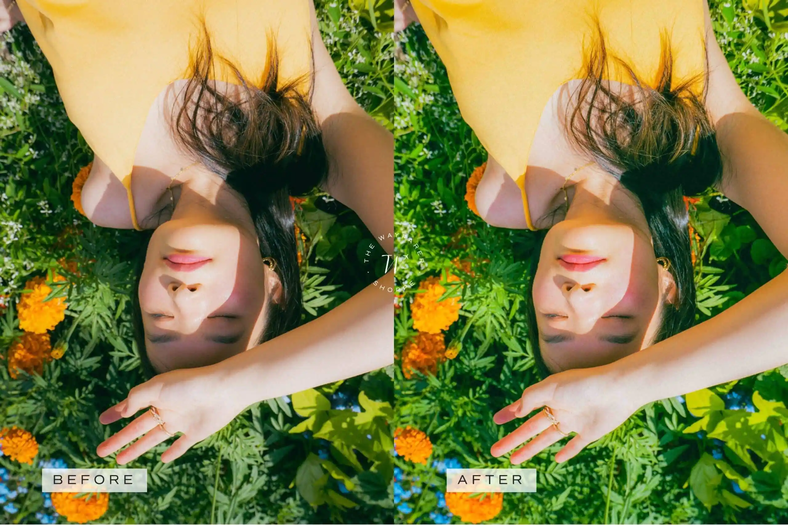 5 Natural Mobile Video Filters 9 5 Natural Mobile Video Filters - Image 9