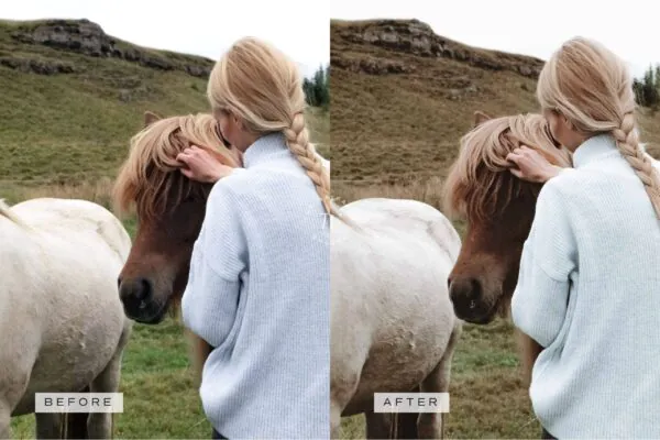 5 Rustic Lightroom Presets | Mobile + Desktop - Image 8