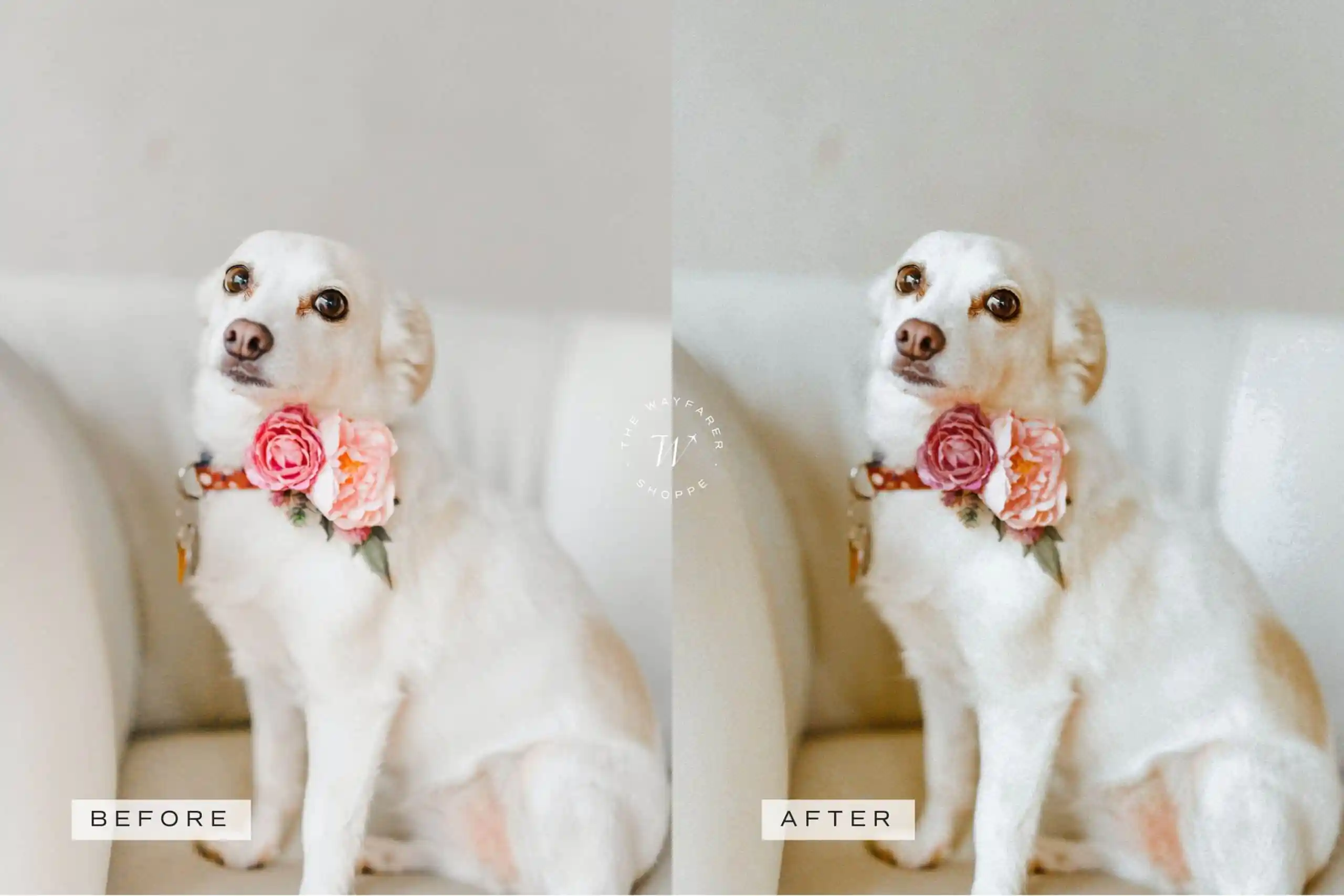 5 Terracotta Mobile Video Filters 9 5 Terracotta Mobile Video Filters - Image 9