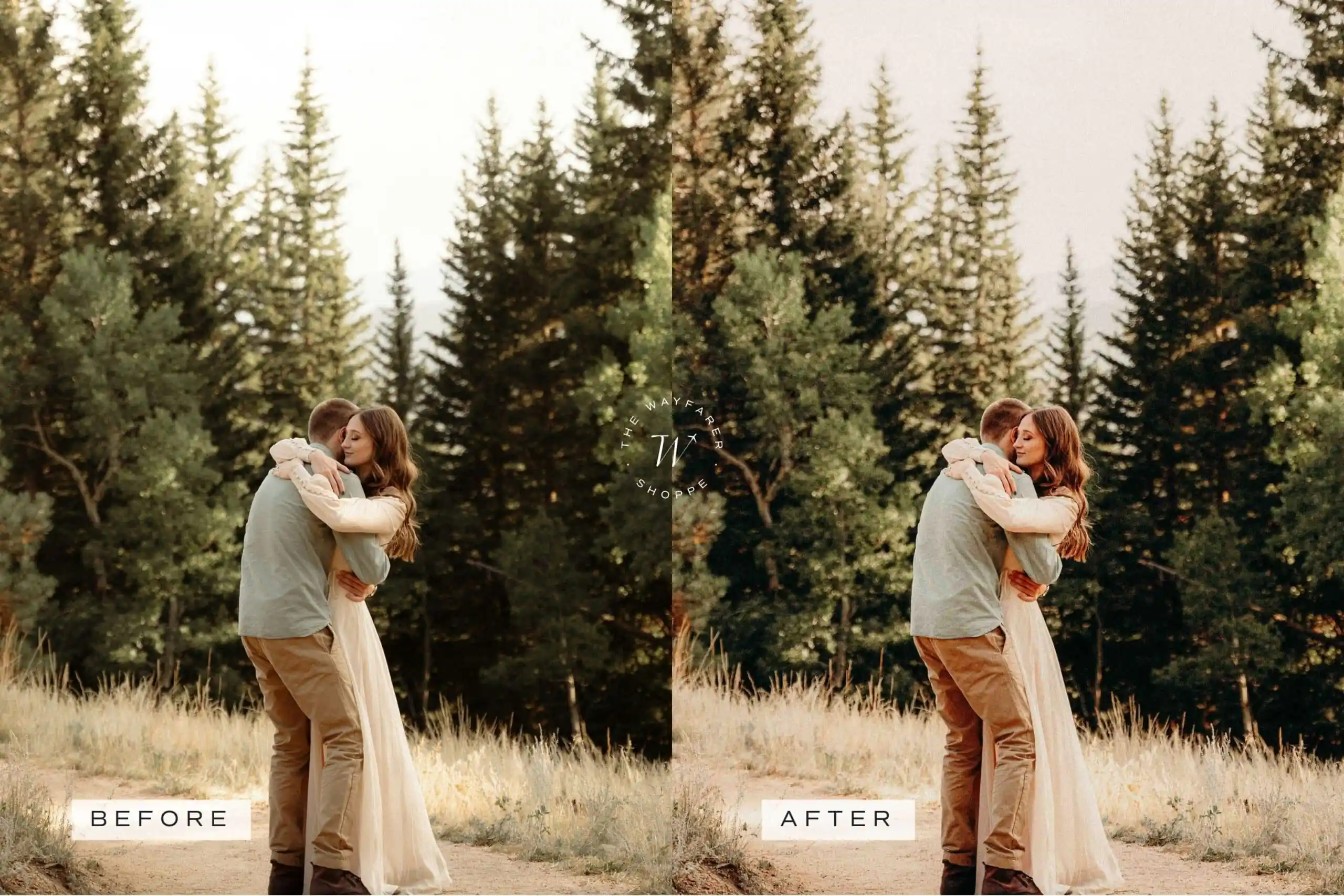 5 Woodlands Mobile Video Filters 9 5 Woodlands Mobile Video Filters - Image 9