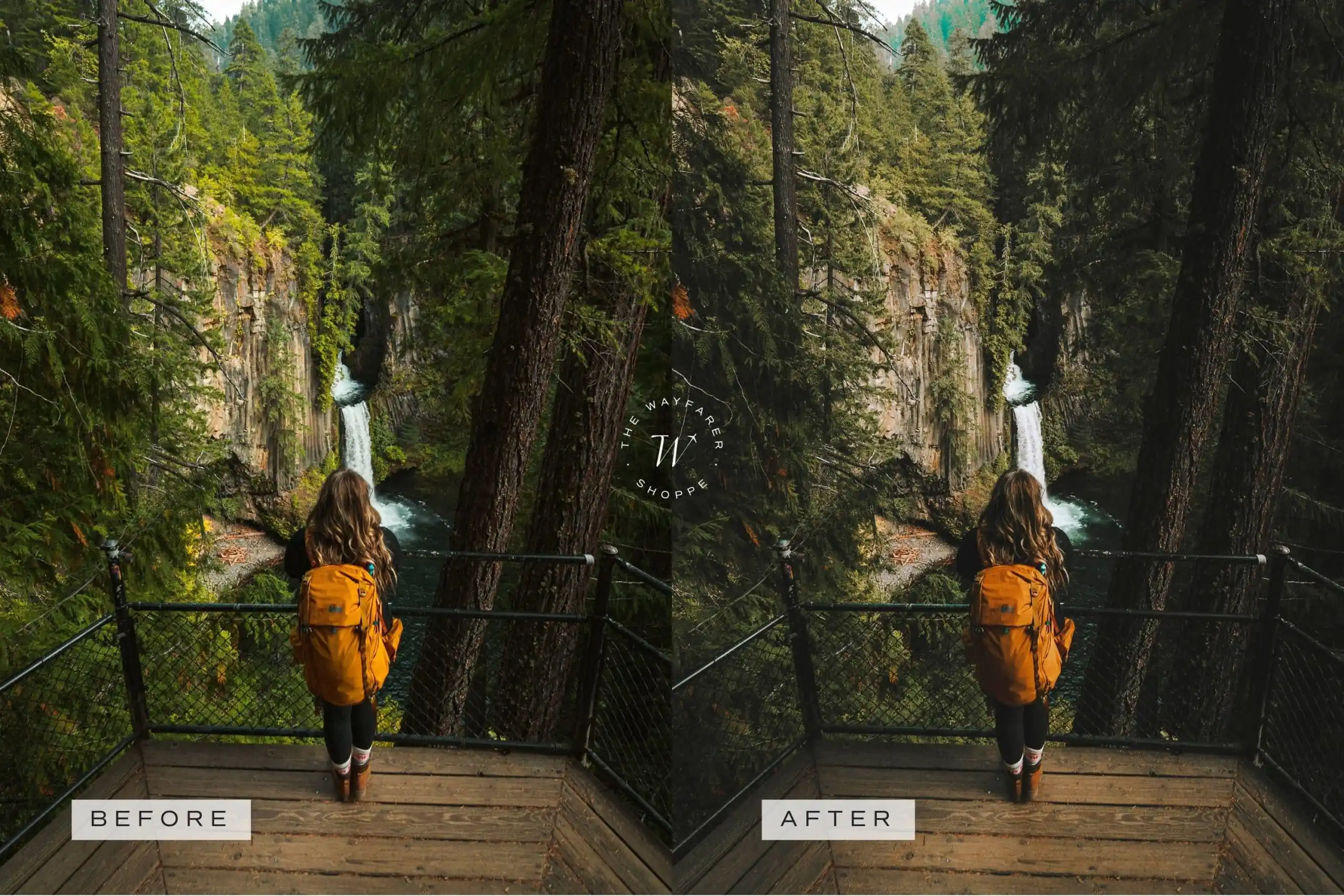 Forest Lightroom Presets + Video Filters Bundle - Image 10