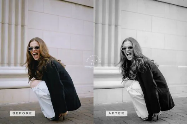 Timeless Lightroom Presets + Video Filters Bundle - Image 10