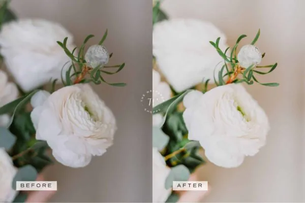 5 Wedding Mobile Video Filters - Image 10
