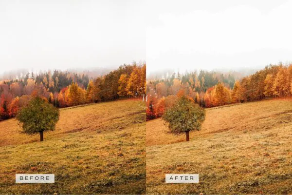5 Fall in Love Mobile Video Filters - Image 11