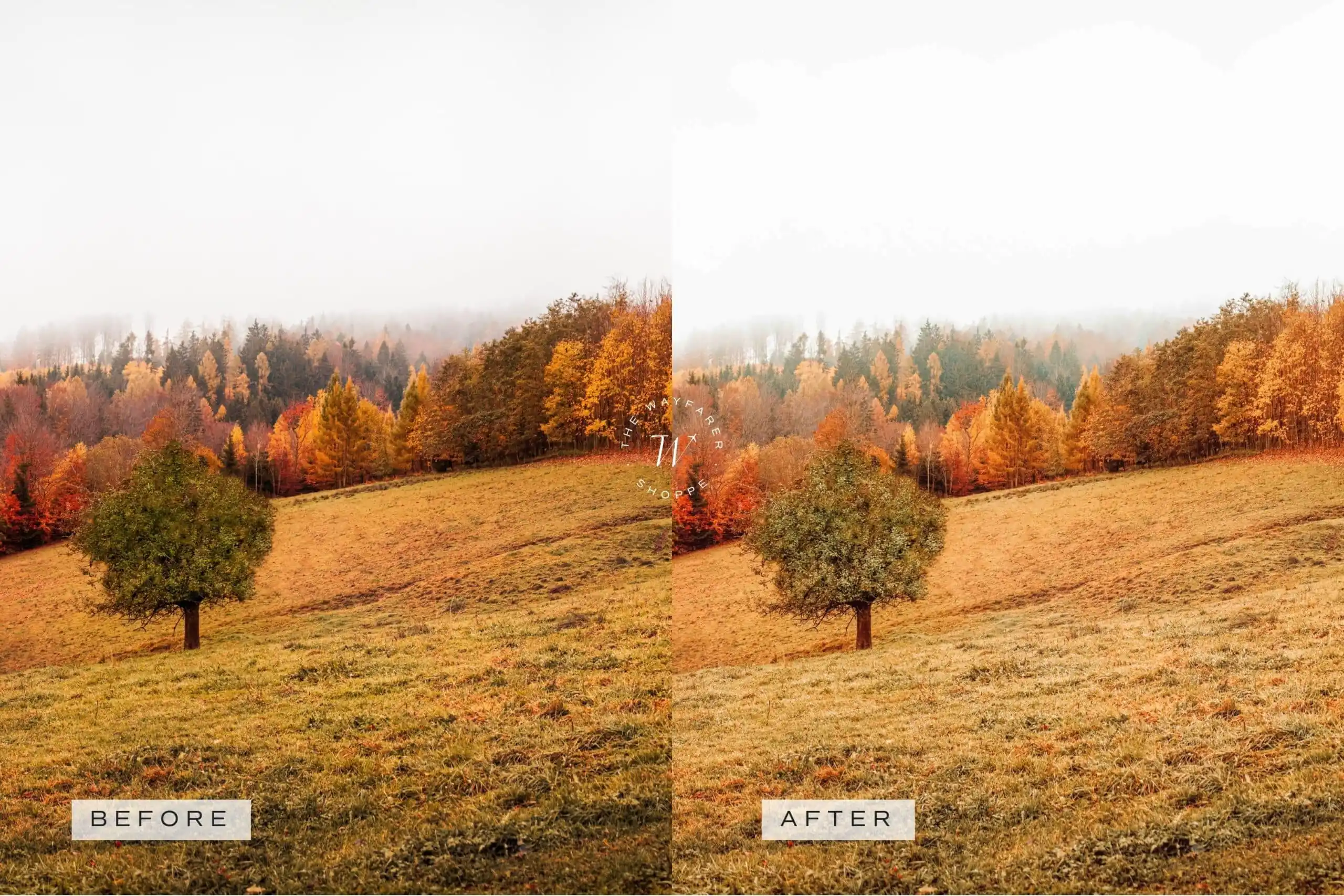 5 Fall in Love Mobile Video Filters 11 5 Fall in Love Mobile Video Filters - Image 11