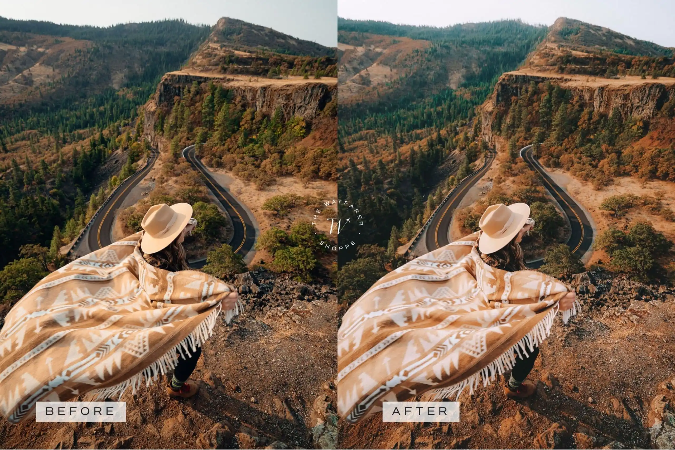 Forest Lightroom Presets + Video Filters Bundle - Image 11