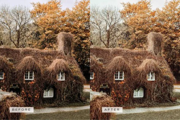 5 Fall in Love Mobile Video Filters - Image 12