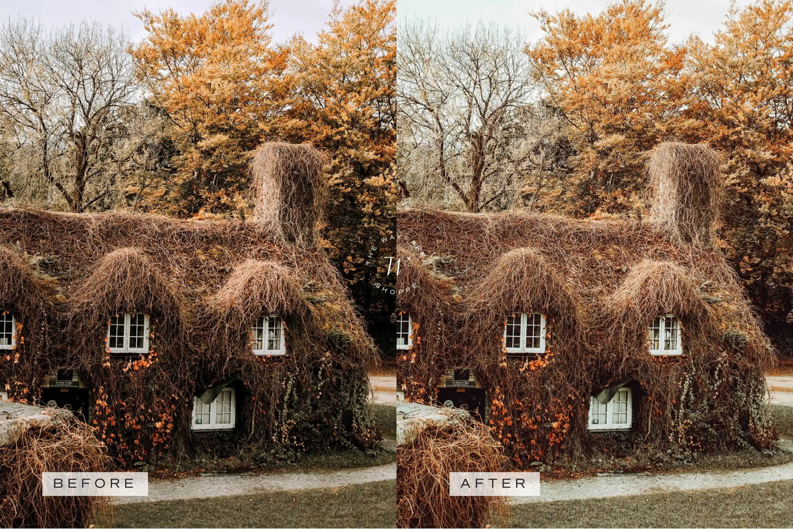 5 Fall in Love Mobile Video Filters 12 5 Fall in Love Mobile Video Filters - Image 12