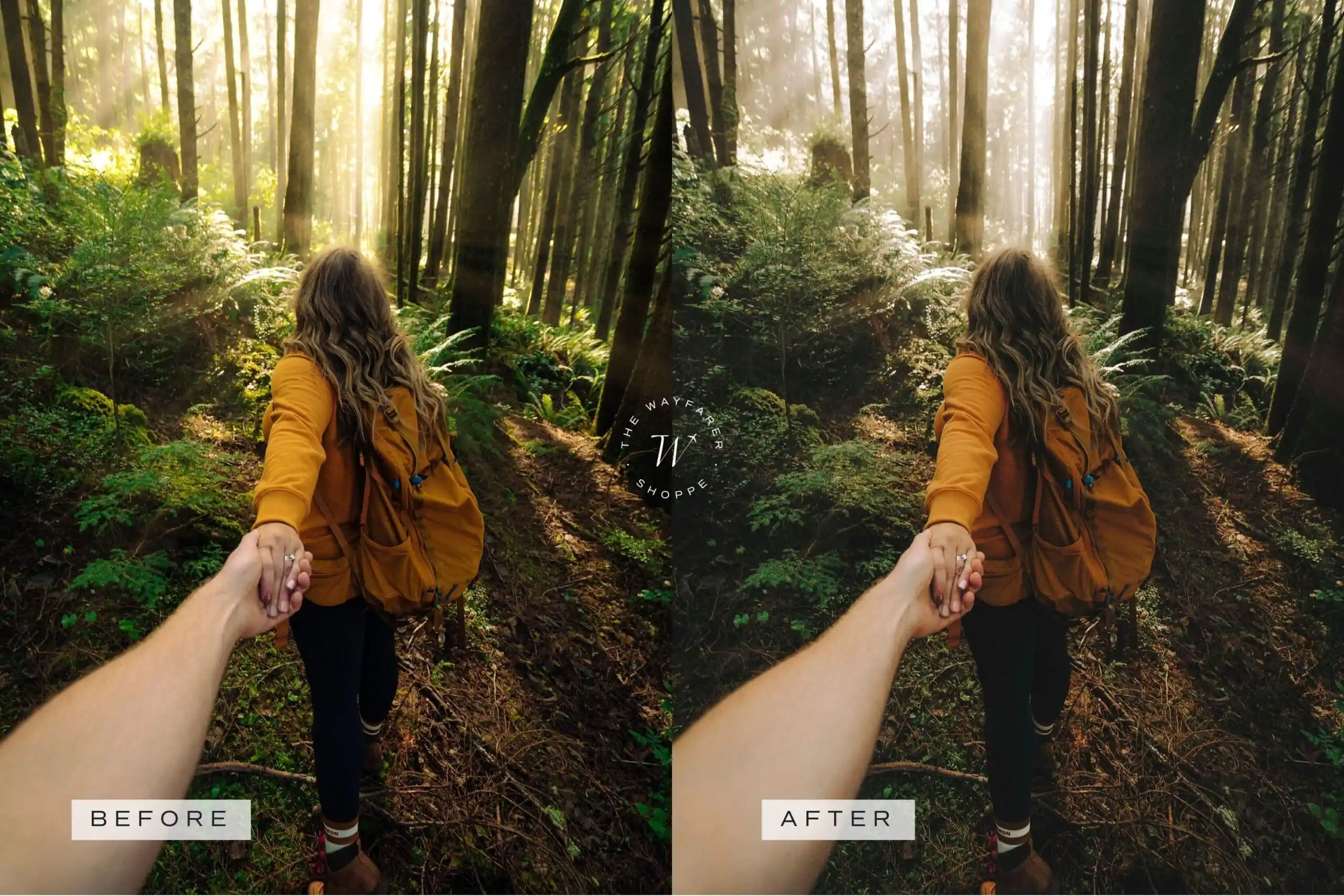 Forest Lightroom Presets + Video Filters Bundle - Image 12