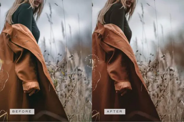 Lifestyle Lightroom Presets + Video Filters Bundle - Image 12