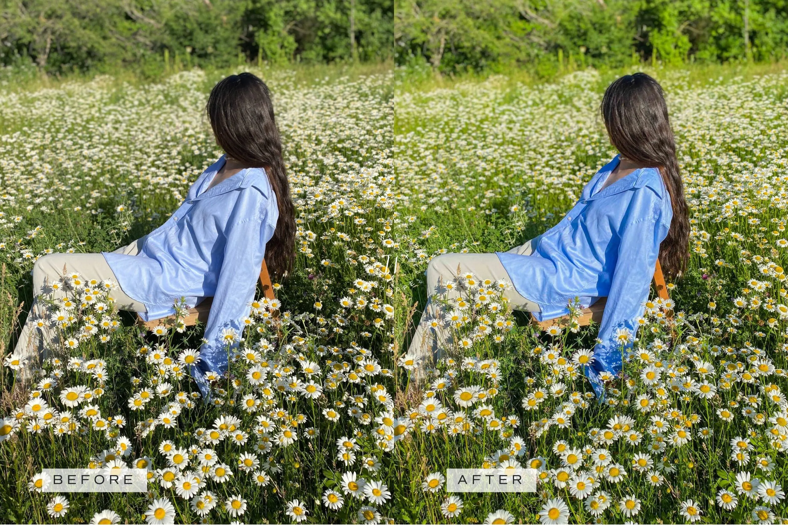 5 Natural Mobile Video Filters 12 5 Natural Mobile Video Filters - Image 12