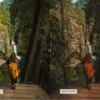 5 Decaf Lightroom Presets | Mobile +Desktop - Image 11