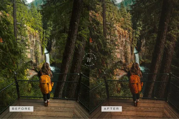 5 Pacific Northwest Mobile Video Filters - Image 12