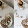 5 Clean Tones Mobile Video Filters - Image 12