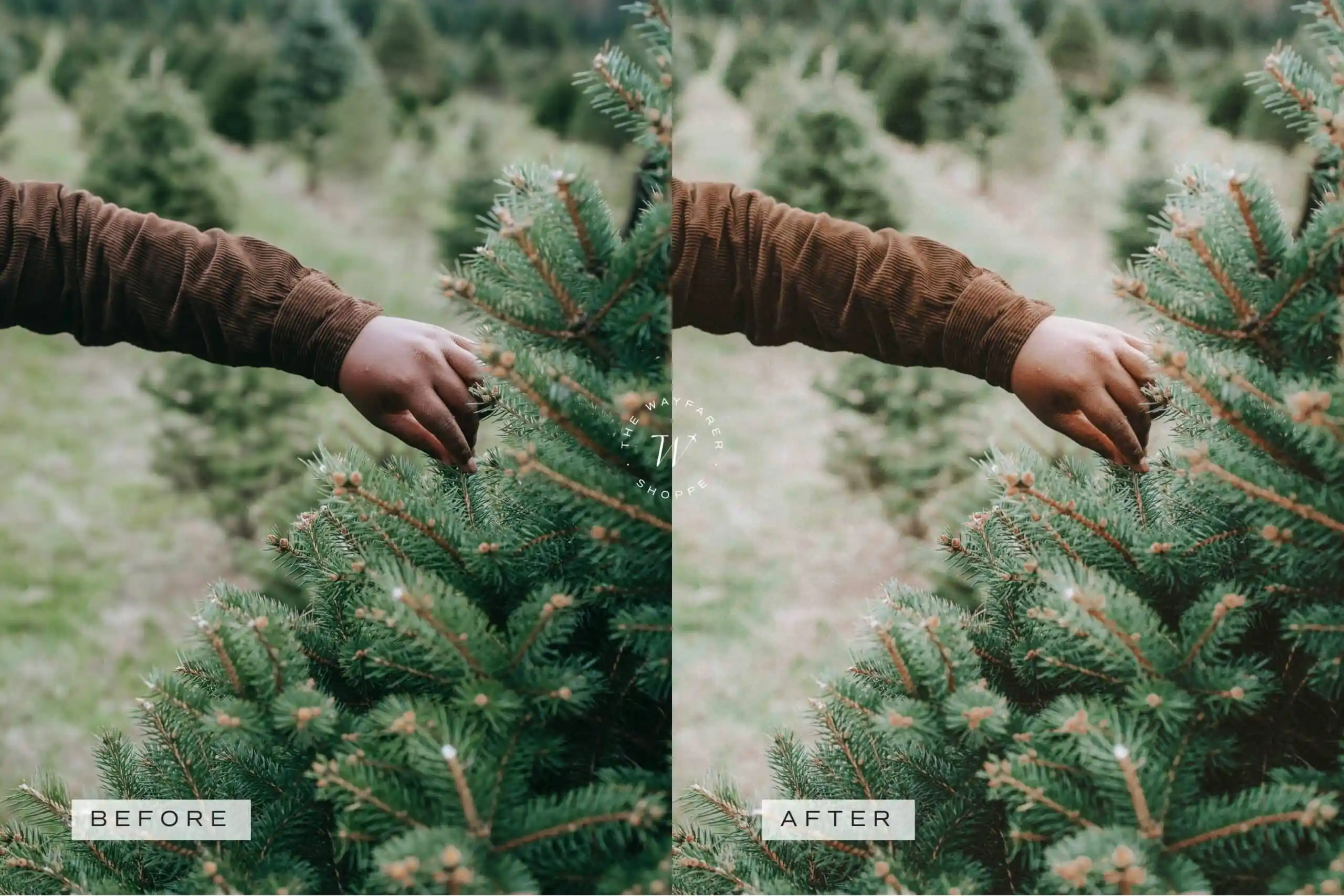 5 Noelle Lightroom Presets | Mobile + Desktop - Image 11