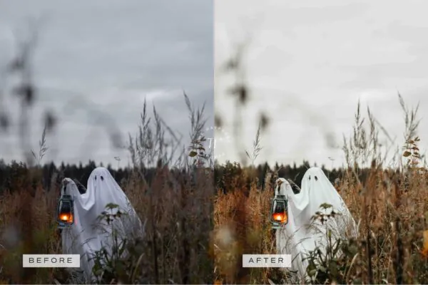 5 Fall in Love Mobile Video Filters - Image 13