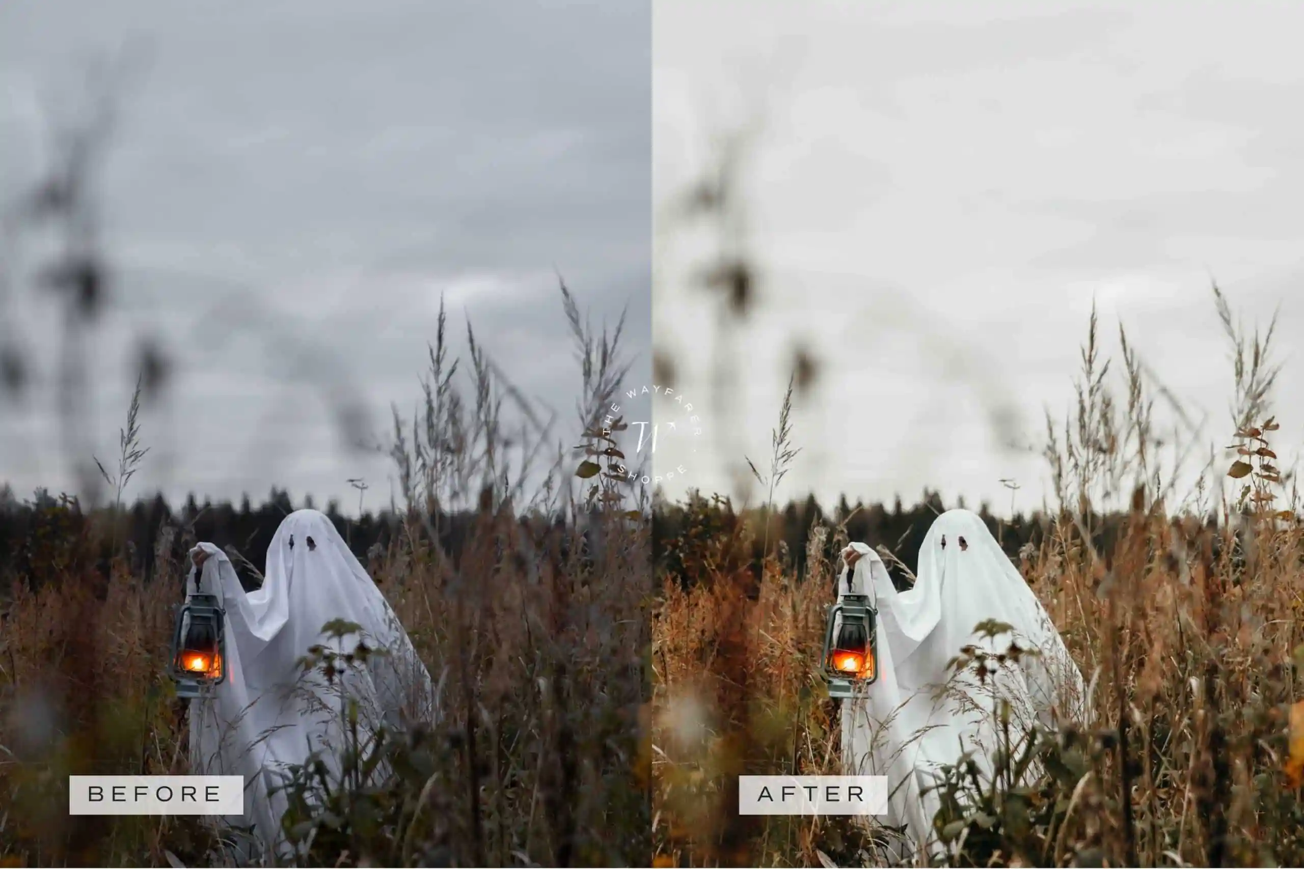 5 Fall in Love Mobile Video Filters 13 5 Fall in Love Mobile Video Filters - Image 13