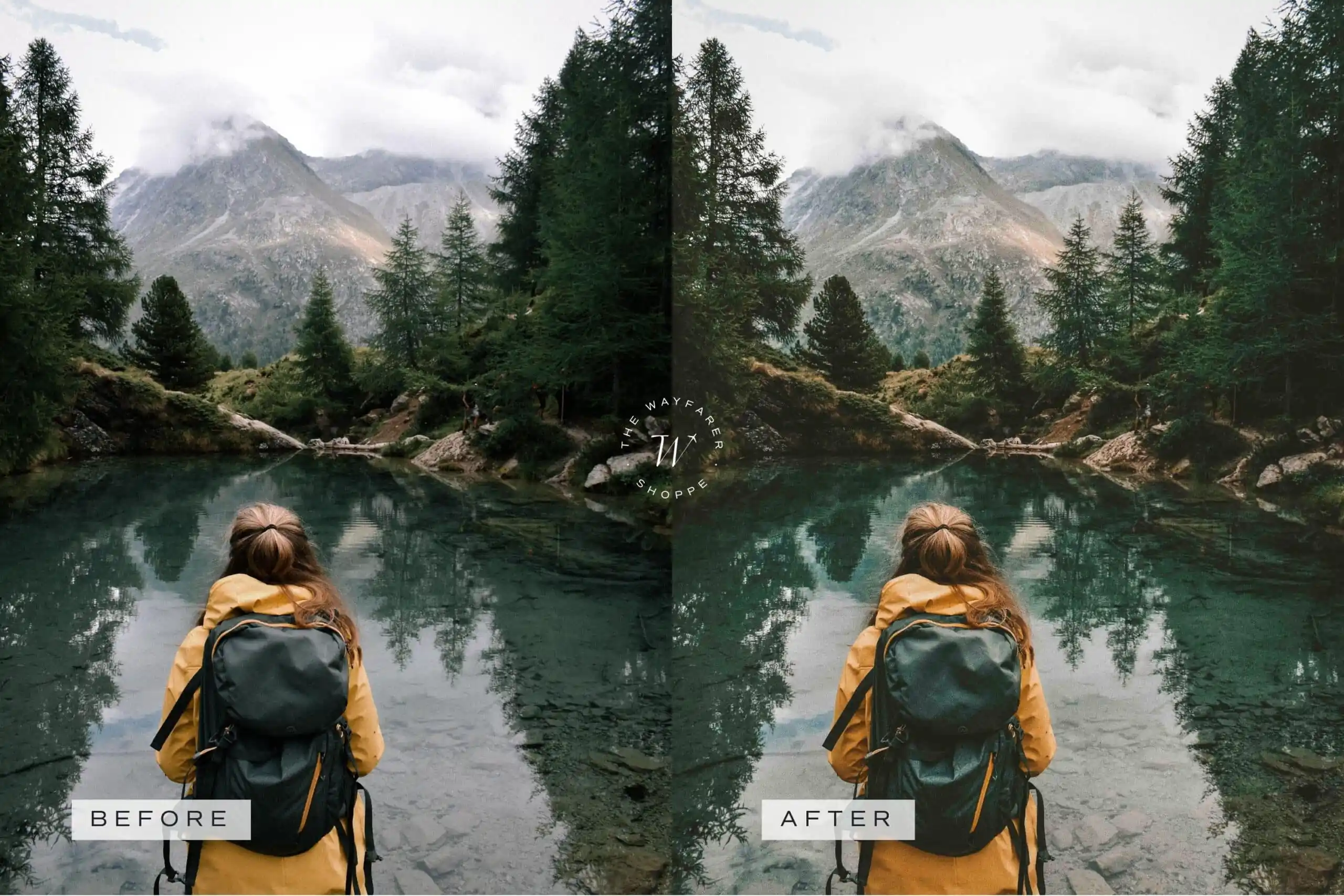 Forest Lightroom Presets + Video Filters Bundle - Image 13