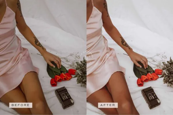 Lifestyle Lightroom Presets + Video Filters Bundle - Image 13