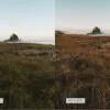 5 Decaf Lightroom Presets | Mobile +Desktop - Image 12
