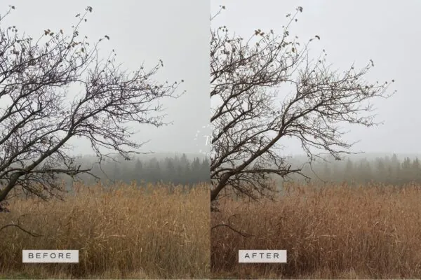 5 Rustic Lightroom Presets | Mobile + Desktop - Image 12