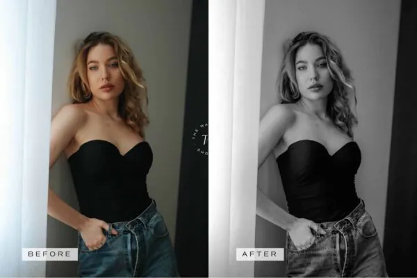 Timeless Lightroom Presets + Video Filters Bundle - Image 13