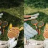 5 Aesthetics Mobile Video Filters - Image 13