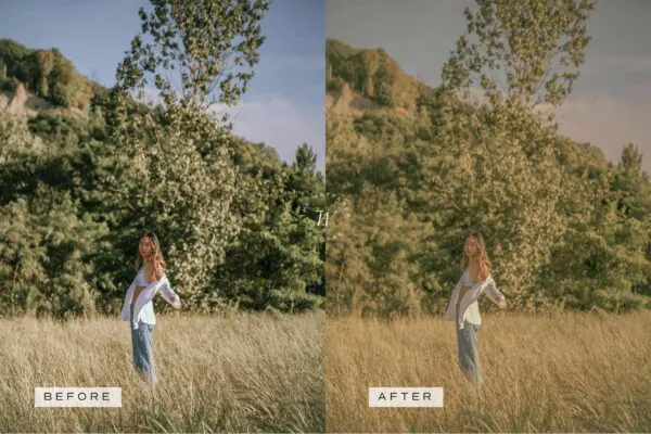 Cottagecore Lightroom Presets + Video Filters Bundle - Image 14