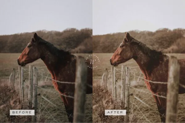 5 Rustic Lightroom Presets | Mobile + Desktop - Image 13