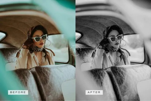 Timeless Lightroom Presets + Video Filters Bundle - Image 14