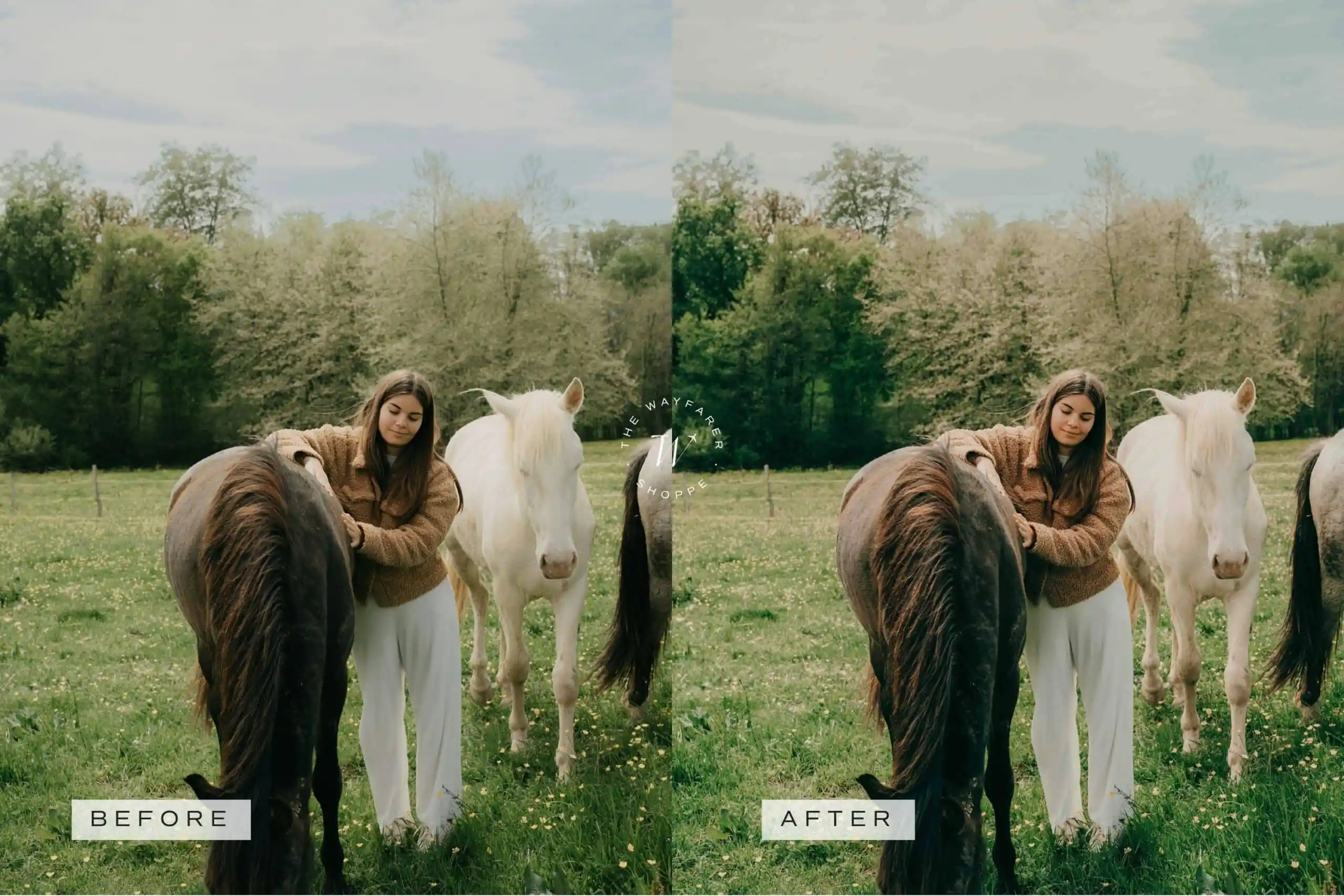 5 Woodlands Mobile Video Filters 14 5 Woodlands Mobile Video Filters - Image 14