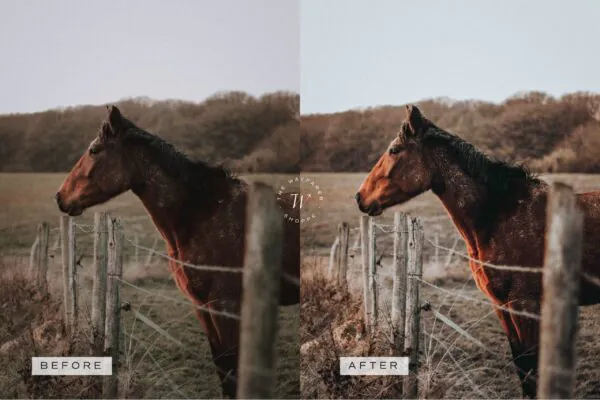 5 Fall in Love Mobile Video Filters - Image 15